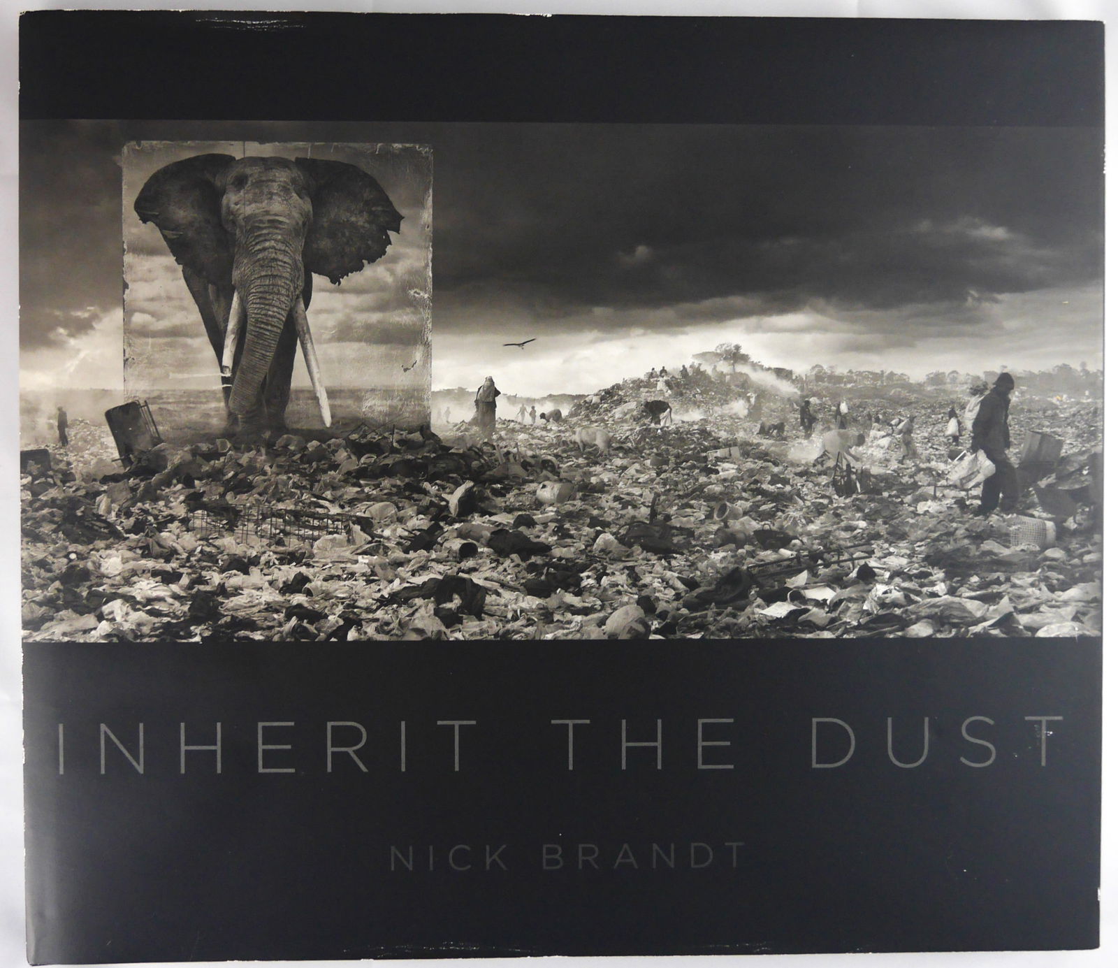Brandt, Nick; Inherit the Dust [SIGNED - 2015  1ST EDITION & 1ST PRINTING] (1 of 7)