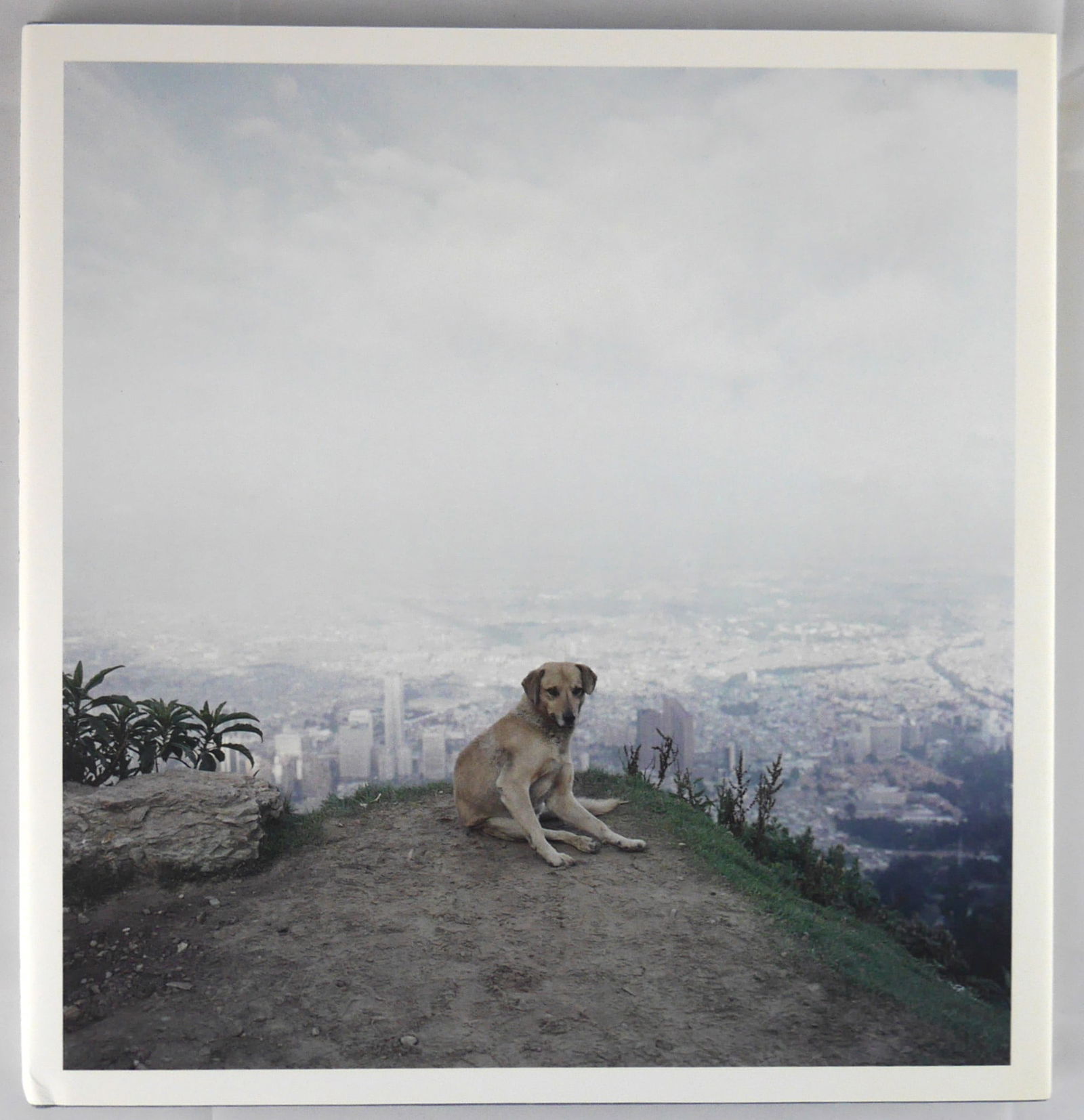 Soth, Alec; Dog Days Bogota  [SIGNED 2007 1ST EDITION & 1ST PRINTING - FINE COPY] (1 of 2)