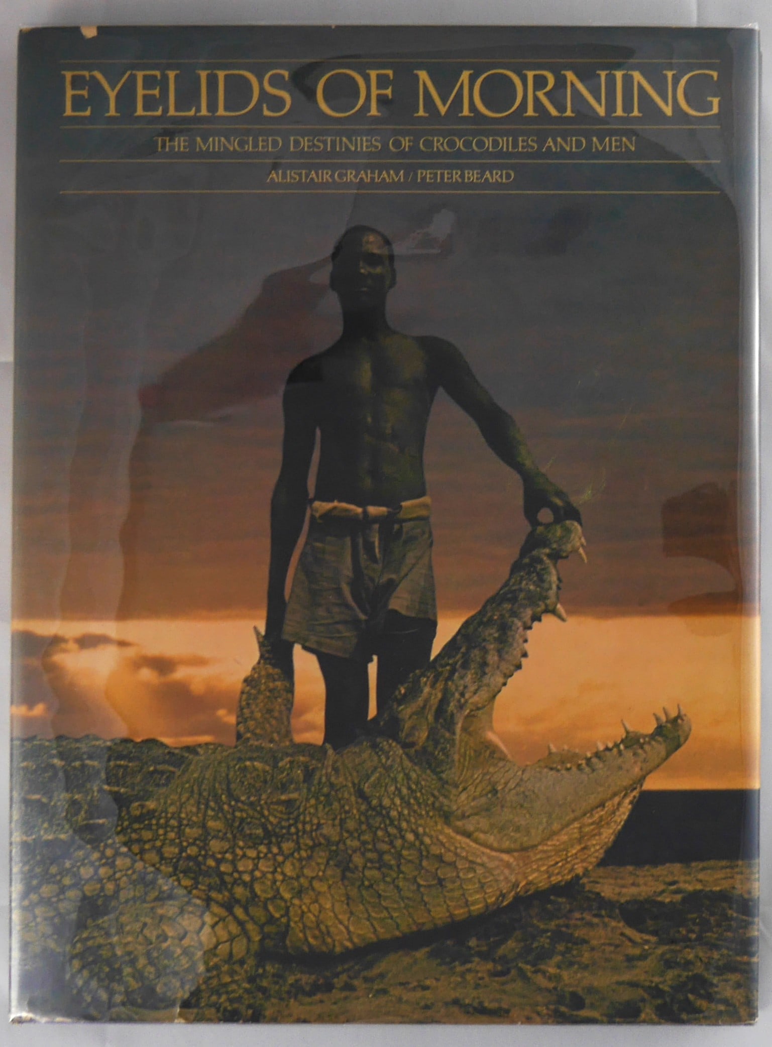 Beard, Peter [SIGNED]; Eyelids of Morning [RARE INSCRIBED 1973 1ST EDITION WITH A 2-PAGE DRAWING: New York Graphic Society, 1973. Hardcover in pictorial dust jacket. First Edition, Second Printing (stated). 4to. 260 pages. Richly illustrated with photos and drawings by Peter Beard in b/w and colou