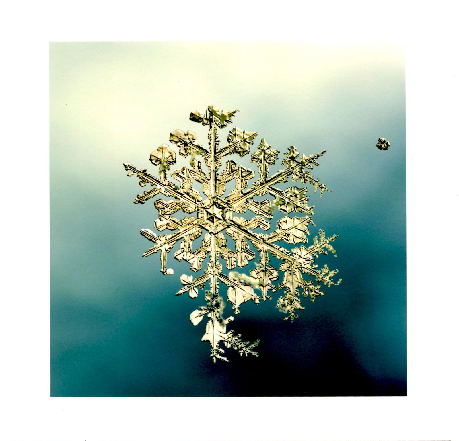 Starn, Doug & Mike [SIGNED]; SNOWFLAKE PRINT [ALLEVERYTHINGTHATISYOU SNO7_057 8 x 8 INCH LIMITED (1 of 3)