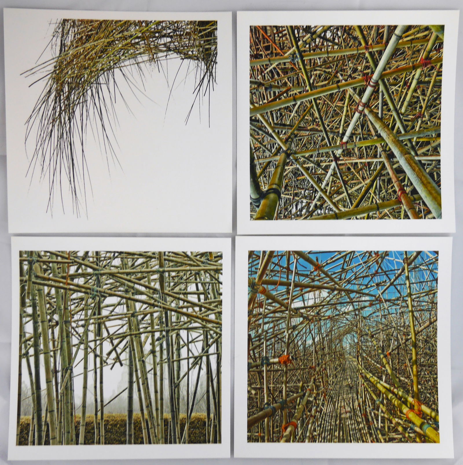 Starn, Doug & Mike; Big Bambu  [SIGNED - SET OF 4 PRINTS - EACH 8" x 8"] (1 of 3)