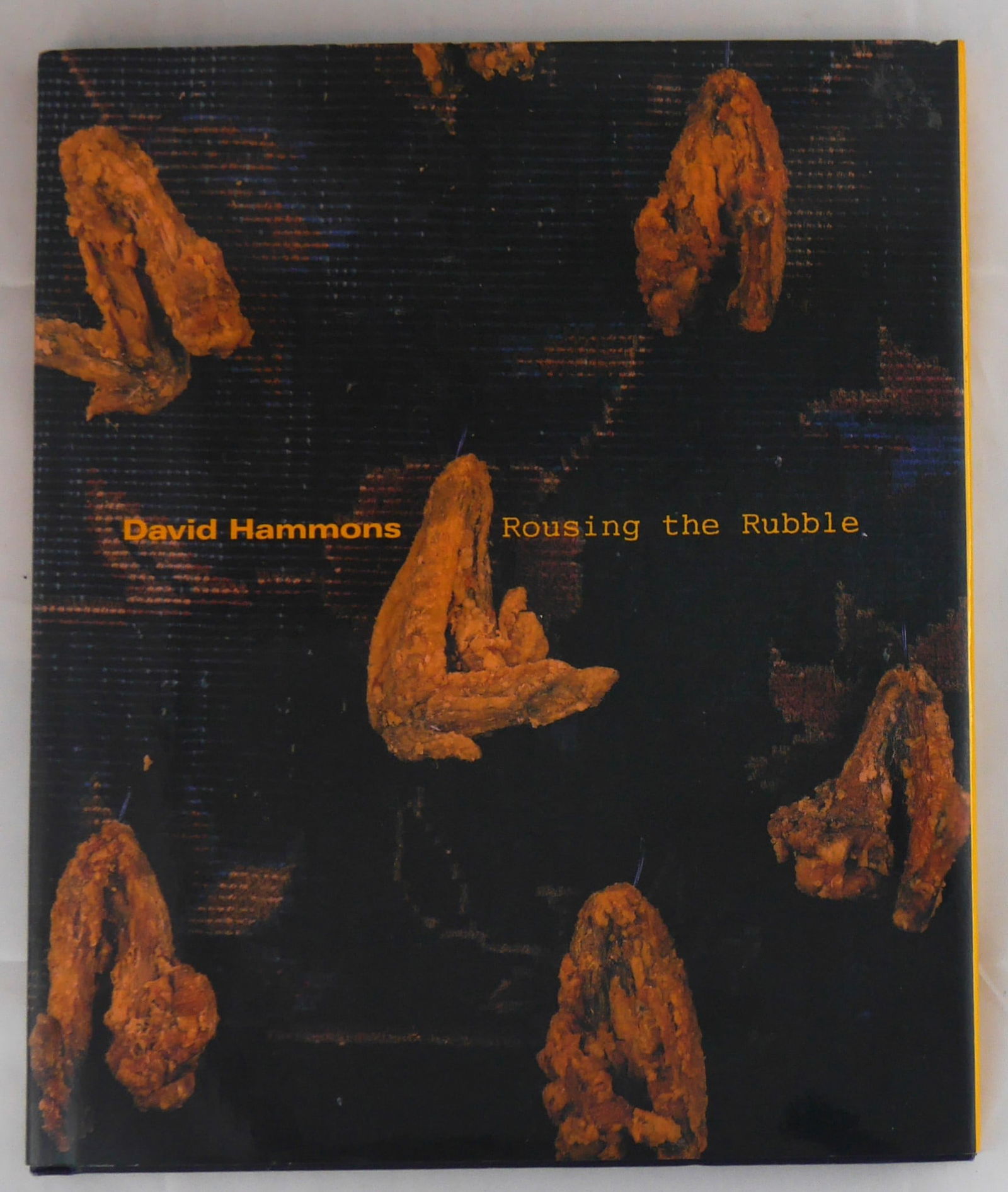 Hammons, David; Rousing the Rubble [RARE 1991 1ST EDITION] (1 of 8)