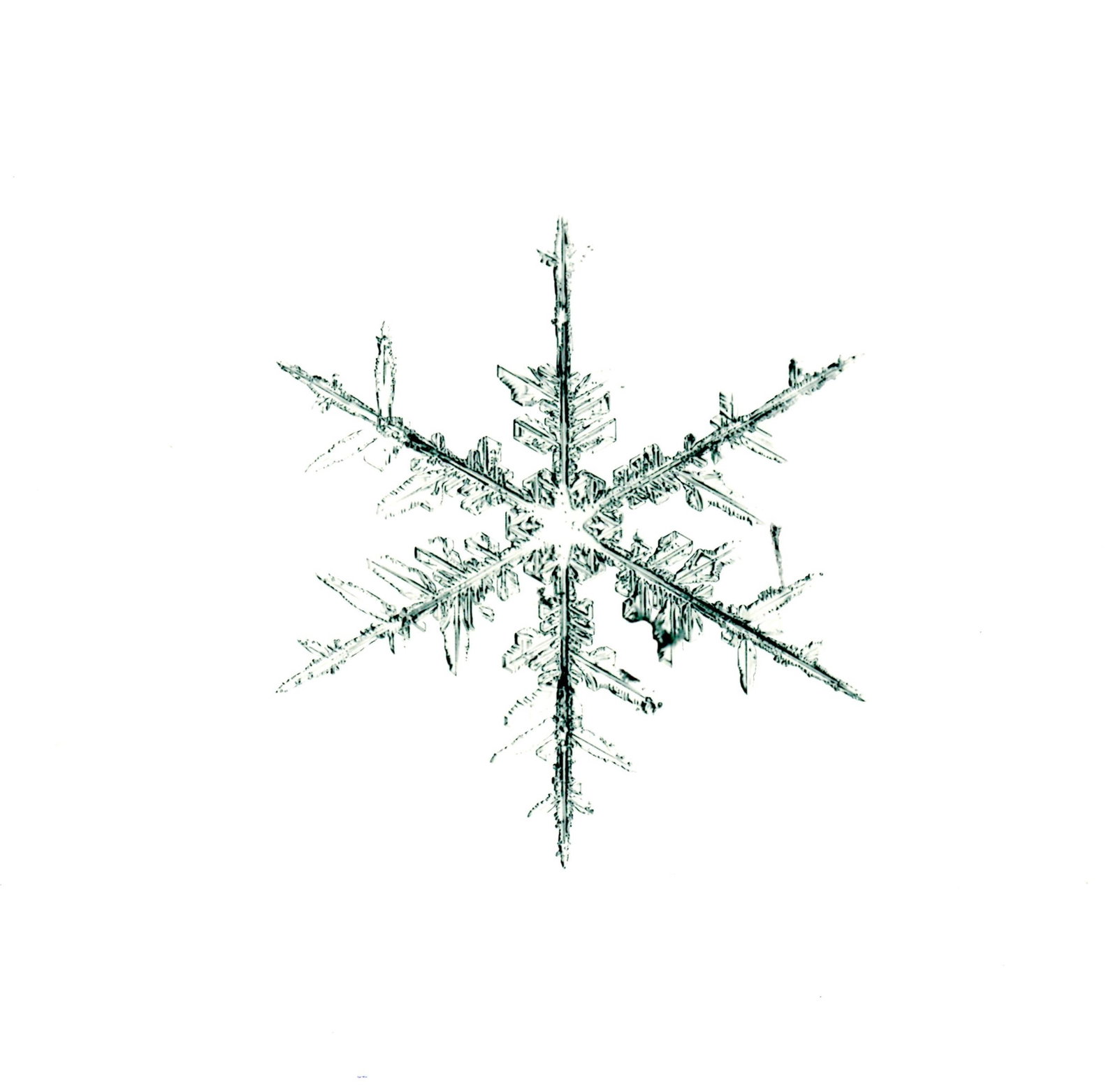 Starn, Doug & Mike, SNOWFLAKE [SIGNED SNO8_231 8 x 8 INCH LIMITED EDITION 1/500 PRINT]: Jen Beckman Project, 20 x 200, 2011. 8 x 8 inch archival pigment print/photograph on cotton paper titled ALLEVERYTHINGTHATISYOU SNO8_231. Limited Edition #/500. Includes a separate HAND-SIGNED and num