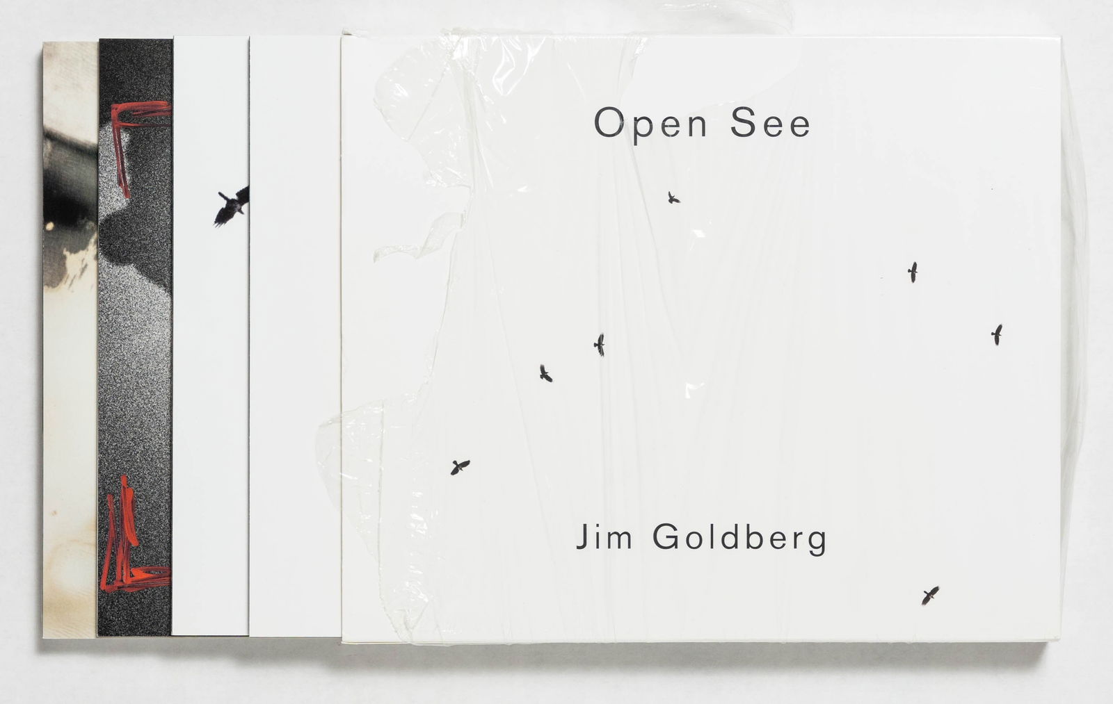 Goldberg, Jim, Open See  [SIGNED COPY 2009 1ST EDITION 4 VOLS IN SLIPCASE - FINE] (1 of 6)
