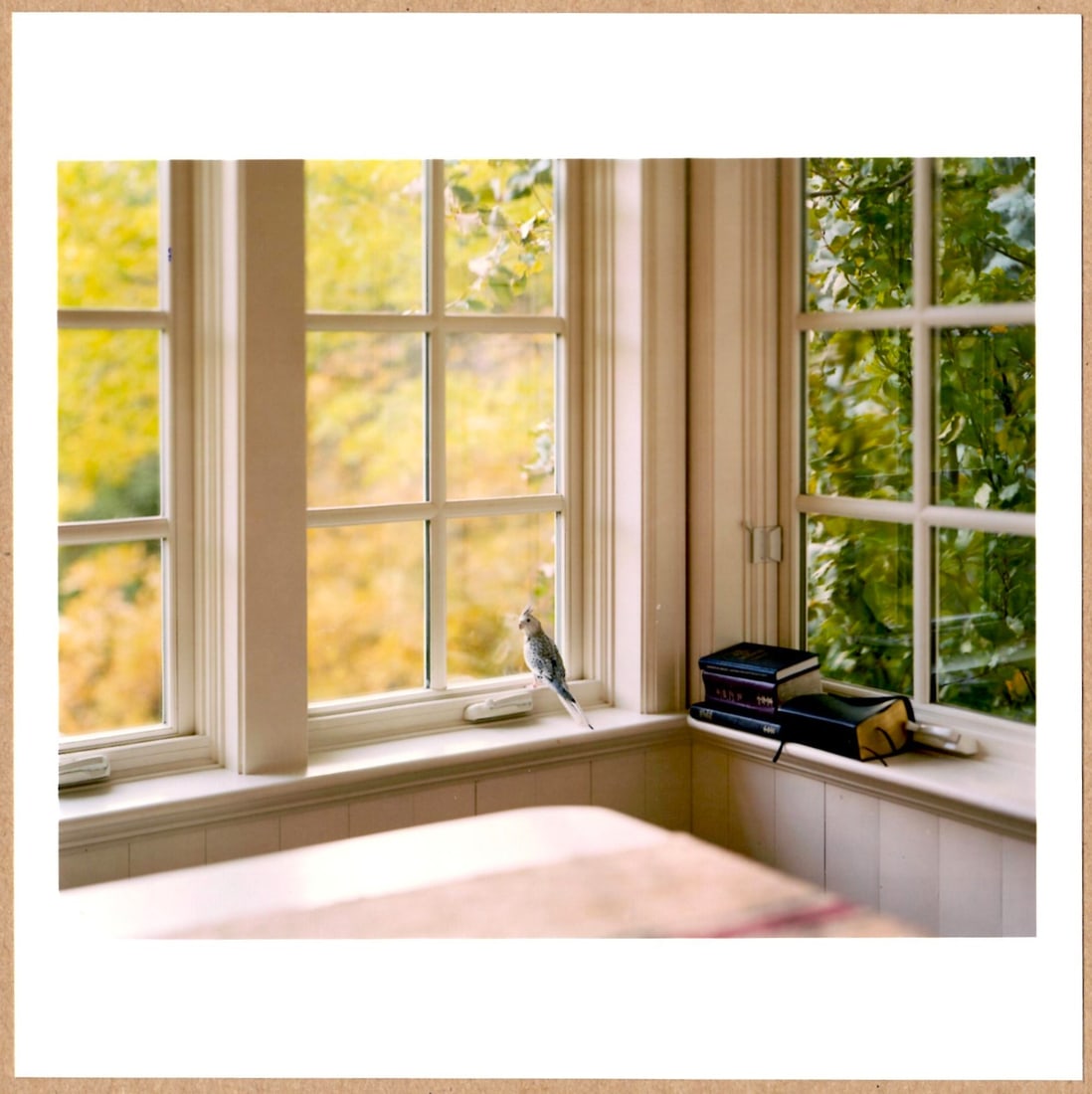 Soth, Alec, SIGNED - ALEC SOTH - CAMMY'S VIEW 2018 - 6" x 6" MAGNUM PRINT: Description: 6"x 6" limited edition Fuji Crystal Archival Matte paper print. Image size is 5.5" on the longest side and the paper size is 6" x 6". The Print is SIGNED by Alec Soth on the verso.Conditi