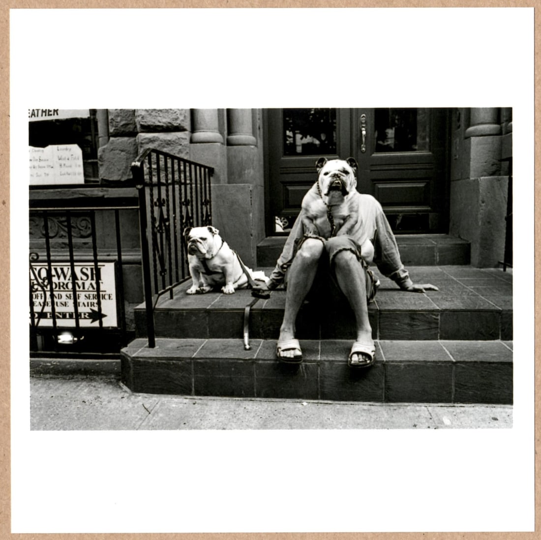 Erwitt, Elliott; SIGNED DOGS ON THE STOOP NEW YORK 2000 LTD 6" x 6" PHOTOGRAPH: Description: 6"x 6" limited edition Fuji Crystal Archival Matte paper print. Image size is 5.5" on the longest side and the paper size is 6" x 6". The Print is SIGNED by Elliott Erwitt on the verso.NB