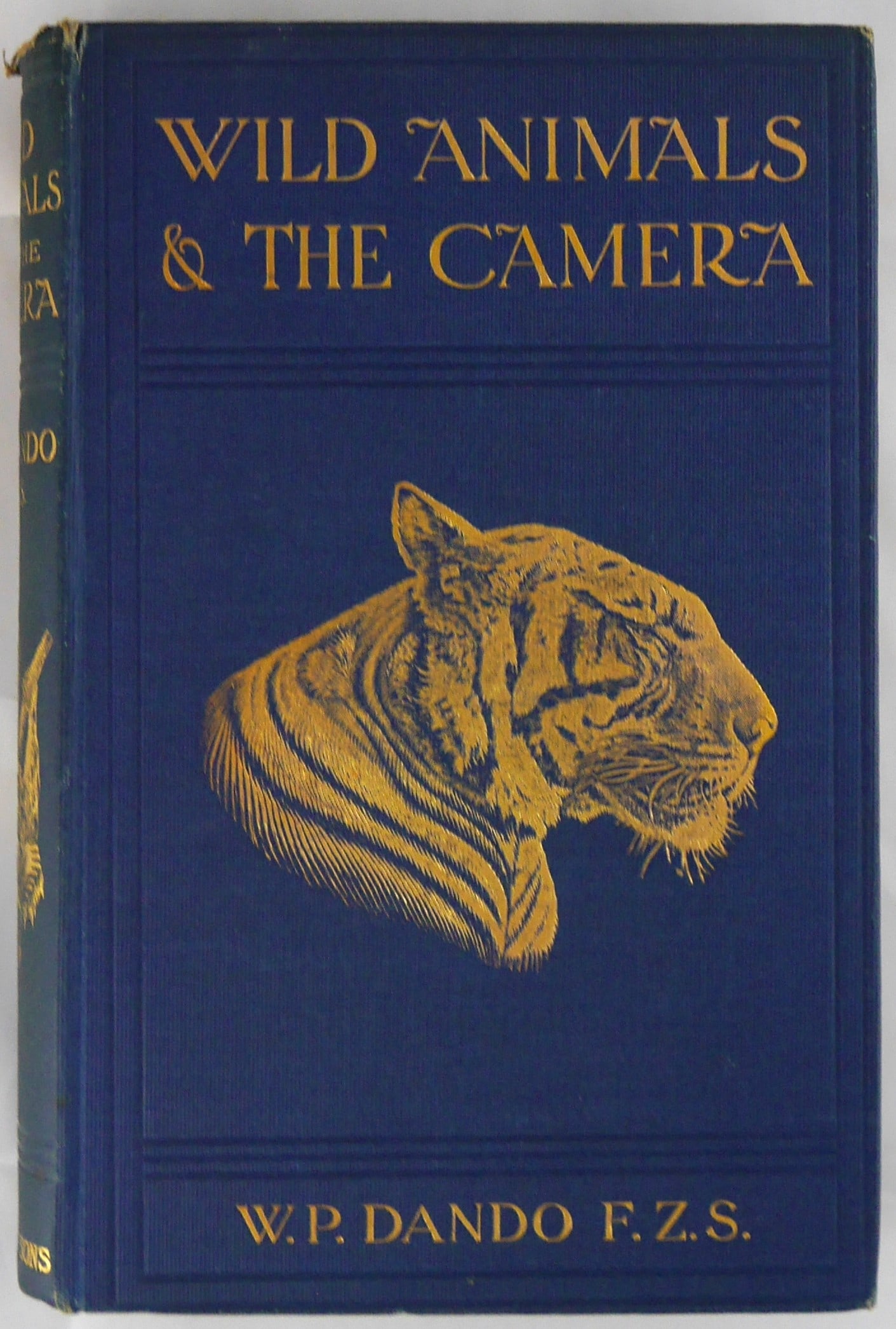 Dando, Walter; Wild Animals and the Camera [1909 1ST EDITION - Peter Beard interest]: Book Description: Jarrold & Sons, London, 1909. Hardcover in blue cloth with title and illustrated lioness gilt image to front board and Orangutan in gilt to spine. 179 pages with 12 mounted collotype