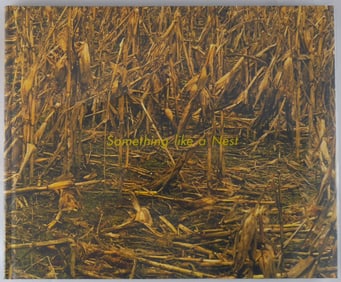 Sewell, Andy;  Something Like a Nest [SIGNED - 1ST EDITION & 1ST PRINTING]
