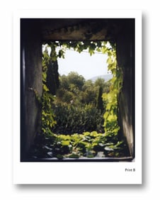 Soth, Alec [SIGNED PRINT];  I Know How Furiously Your Heart is Beating [LTD ED "B" #/150]