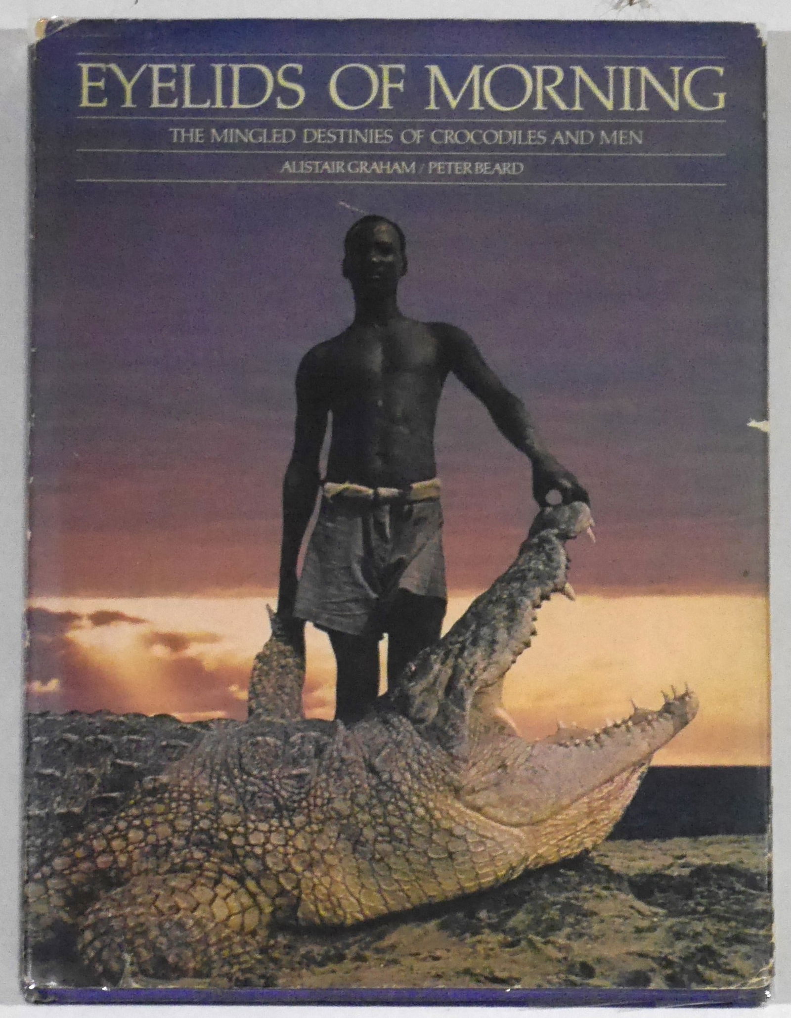 Beard, Peter; Eyelids of Morning [SIGNED - RARE 1973 1ST ED/PRINT INSCRIBED WITH ORIGINAL DRAWING]: New York Graphic Society, 1973. Hardcover in pictorial dust jacket. First Edition, First Printing (stated). 4to. 260 pages. Richly illustrated with photos and drawings by Peter Beard in b/w and colour