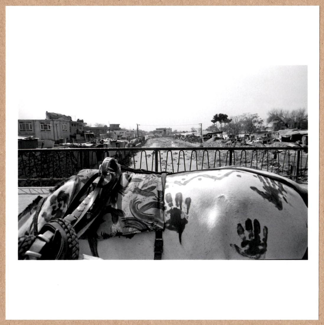 SIGNED - LARRY TOWELL - HORSE - RARE 2014 LTD 6" x 6" MAGNUM PHOTOGRAPH: Description: 6"x 6" limited edition Fuji Crystal Archival Matte paper print. Image size is 5.5" on the longest side and the paper size is 6" x 6". The Print is SIGNED by Larry Towell on the verso.Cond