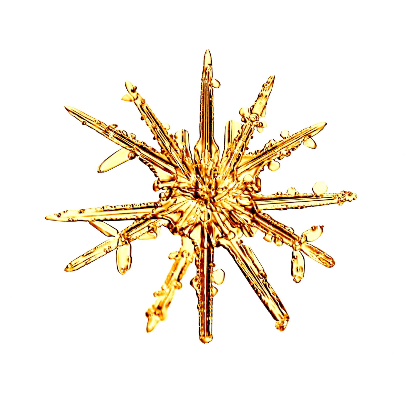 Starn, Doug & Mike (SIGNED); 8" x 8" LTD ED SNOWFLAKE PRINT (SNO7.1_016) (1 of 3)