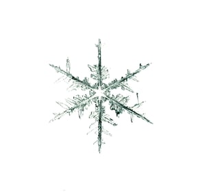 Starn, Doug & Mike (SIGNED); 8" x 8" LTD ED SNOWFLAKE PRINT (SNO8_231)