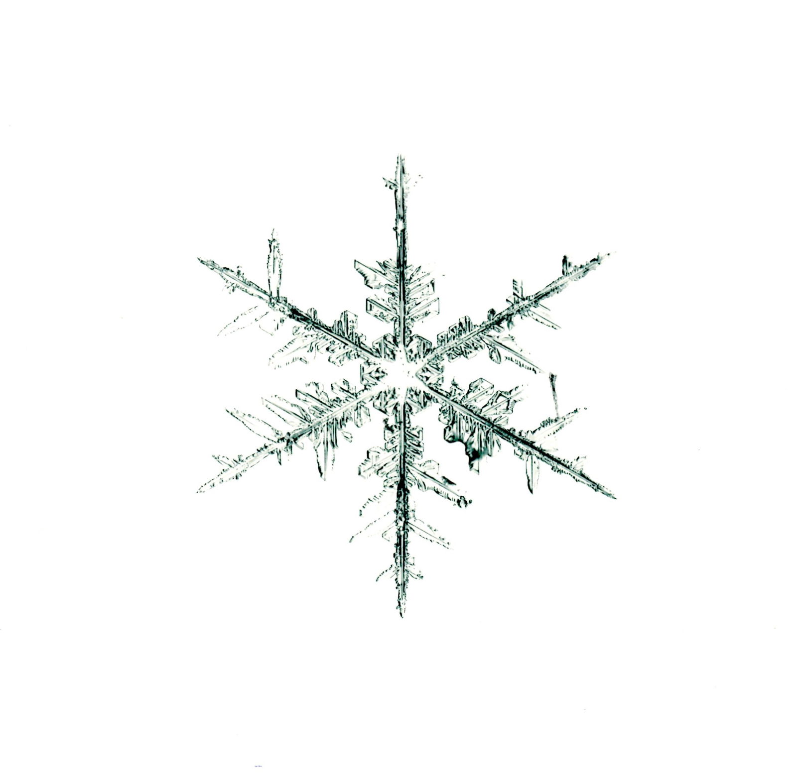 Starn, Doug & Mike (SIGNED); 8" x 8" LTD ED SNOWFLAKE PRINT (SNO8_231) (1 of 3)