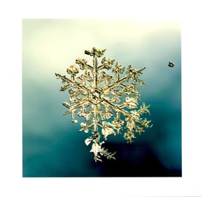 Starn, Doug & Mike (SIGNED); 8" x 8" LTD ED SNOWFLAKE PRINT (SNO7_057)