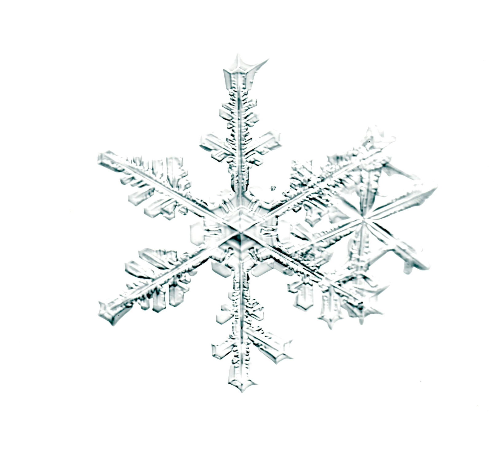 Starn, Doug & Mike (SIGNED); 8" x 8" LTD ED SNOWFLAKE PRINT (SNO6_005.1) (1 of 3)