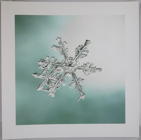 Starn, Doug & Mike (SIGNED); 8" x 8" LTD ED SNOWFLAKE PRINT (SNO6_005)
