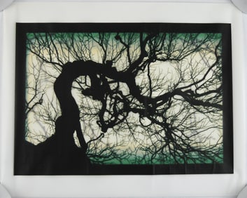 Starn, Mike & Doug (SIGNED); Structure of Thought 30 - 16 x 20 LTD ED ARCHIVAL PRINT #/25