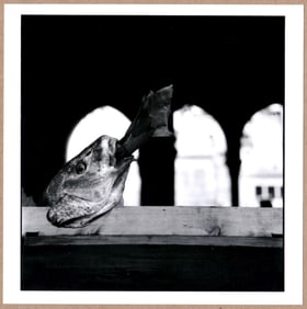 SIGNED - ELLIOTT ERWITT - A FISH SMOKING A CIGAR, VENICE, ITALY -  LTD 6" x 6" MAGNUM ARCHIVAL PRINT