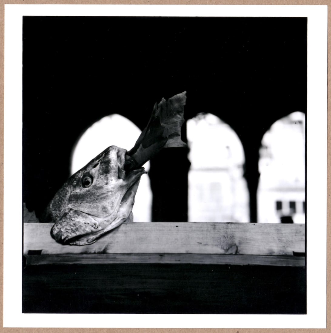 SIGNED - ELLIOTT ERWITT - A FISH SMOKING A CIGAR, VENICE, ITALY - LTD 6" x 6" MAGNUM ARCHIVAL PRINT: Description: Elliott Erwitt 6"x 6" limited edition Archival Matte paper print. Image size is 5.5" on the longest side and the paper size is 6" x 6". The Print is hand SIGNED by Elliott Erwitt on the v