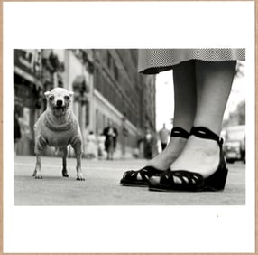 STAMP SIGNED - ELLIOTT ERWITT DOGS CHIHUAHUA NEW YORK CITY 6" x 6" MAGNUM PRINT