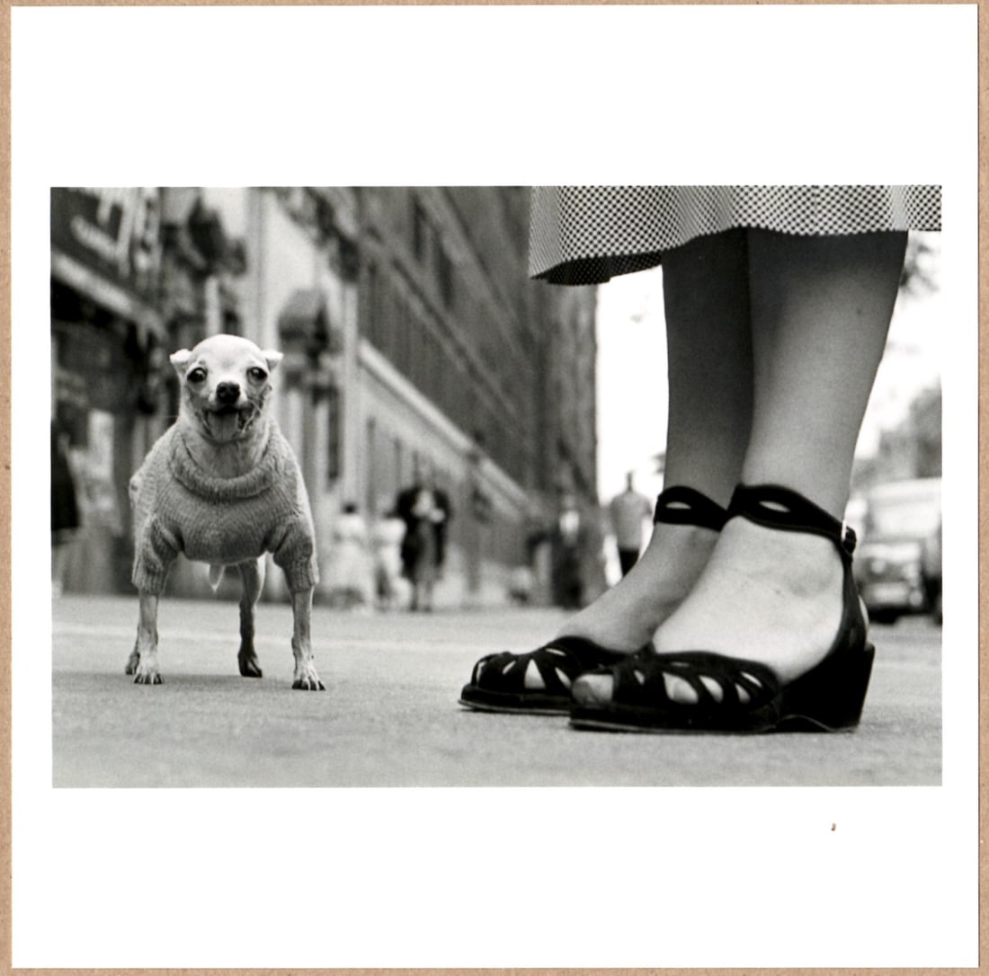 STAMP SIGNED - ELLIOTT ERWITT DOGS CHIHUAHUA NEW YORK CITY 6" x 6" MAGNUM PRINT: Description: 6"x 6" limited edition Fuji Crystal Archival Matte paper print. Image size is 5.5" on the longest side and the paper size is 6" x 6". The Print is STAMP SIGNED by Elliott Erwitt on the ve