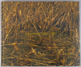 Sewell, Andy;  Something Like a Nest [SIGNED - 1ST EDITION & 1ST PRINTING]