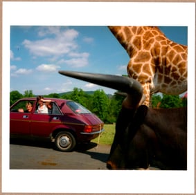 SIGNED - MARTIN PARR - KNOWSLEY SAFARI PARK, ENGLAND 1990 6" x 6" MAGNUM PRINT