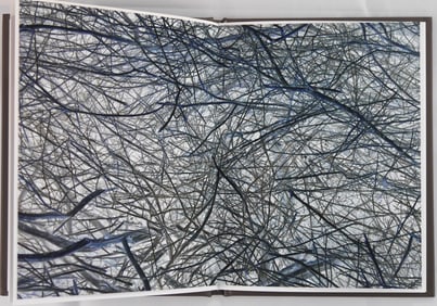 Ghirri, Luigil;  It's Beautiful Here Isn't It?  [2008 APERTURE 1ST EDITION & 1ST PRINTING - FINE]