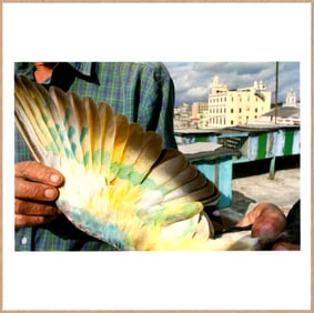 SIGNED - REBECCA NORRIS WEBB - HAVANA, VELVET ISLE COVER IMAGE - LTD 6" x 6" MAGNUM ARCHIVAL PRINT
