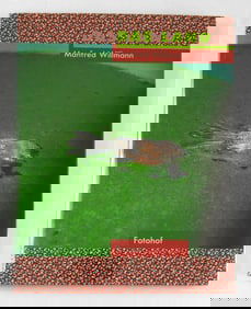 Willmann, Manfred;  Das Land 1981-1993 [2000 1ST EDITION & 1ST PRINTING - FINE COPY]