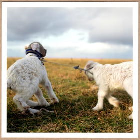 SIGNED - ALESSANDRA SANGUINETTI - SIXTH DAY - BUENOS AIRES, ARGENTINA, 1997 - 6" x 6" MAGNUM PRINT