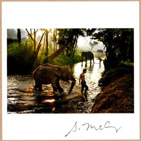 SIGNED - STEVE MCCURRY ELEPHANTS IN THAILAND LTD 6" x 6" MAGNUM ARCHIVAL PRINT
