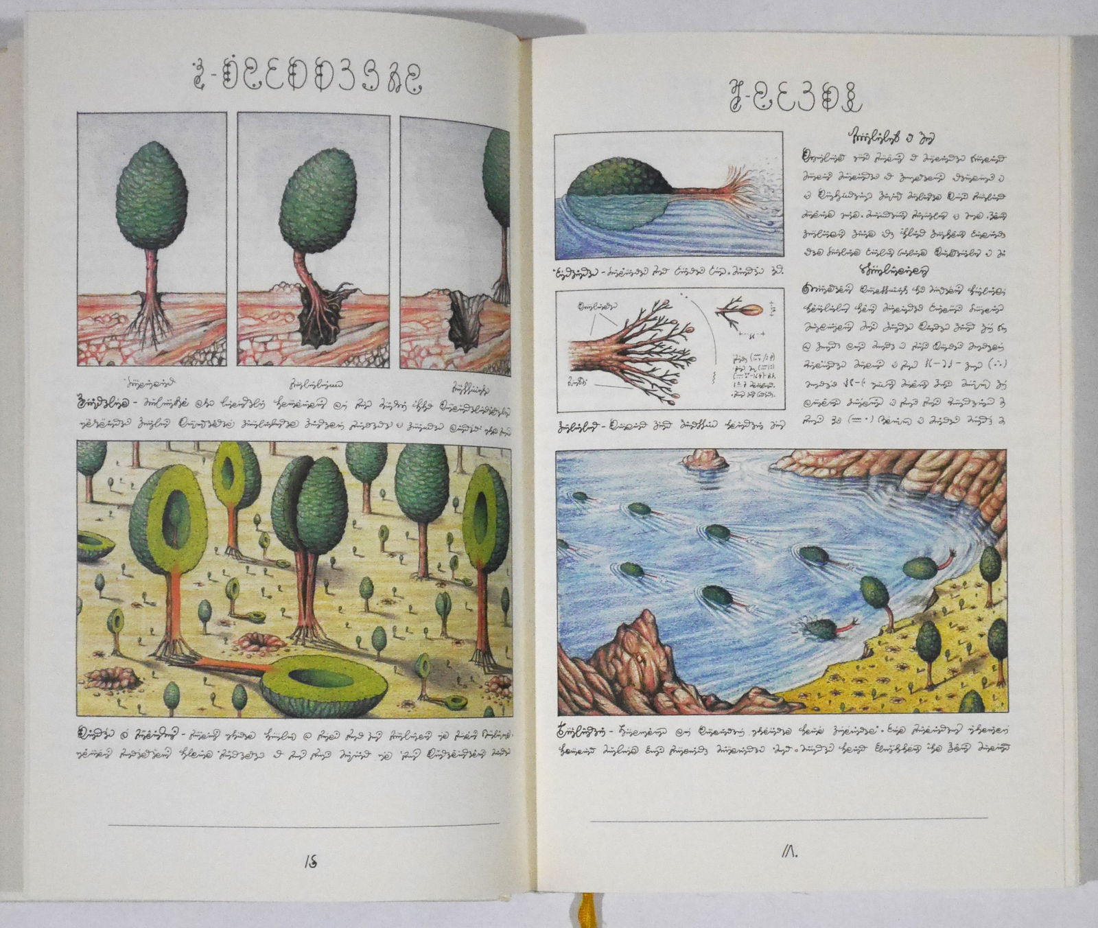 Luigi Serafini, Codex Seraphinianus [SIGNED with INSCRIPTION - 2006 RIZZOLI 1ST EDITION - FINE] - 4