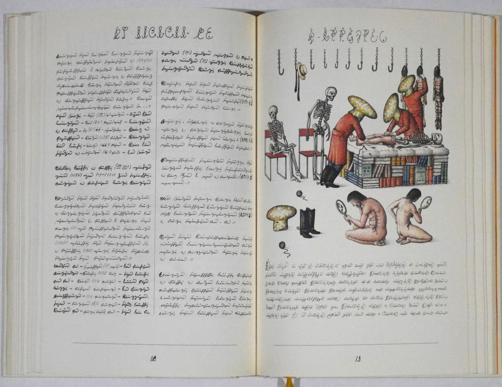 Luigi Serafini, Codex Seraphinianus [SIGNED with INSCRIPTION - 2006 RIZZOLI 1ST EDITION - FINE] - 6