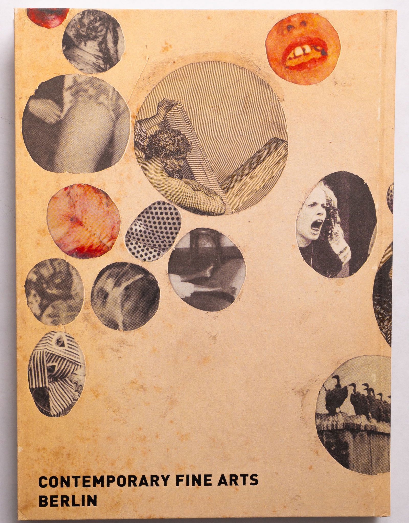 Snow, Dash; The End of Living and the Beginning of Survival [2007 1ST EDITION - FINE] (1 of 1)