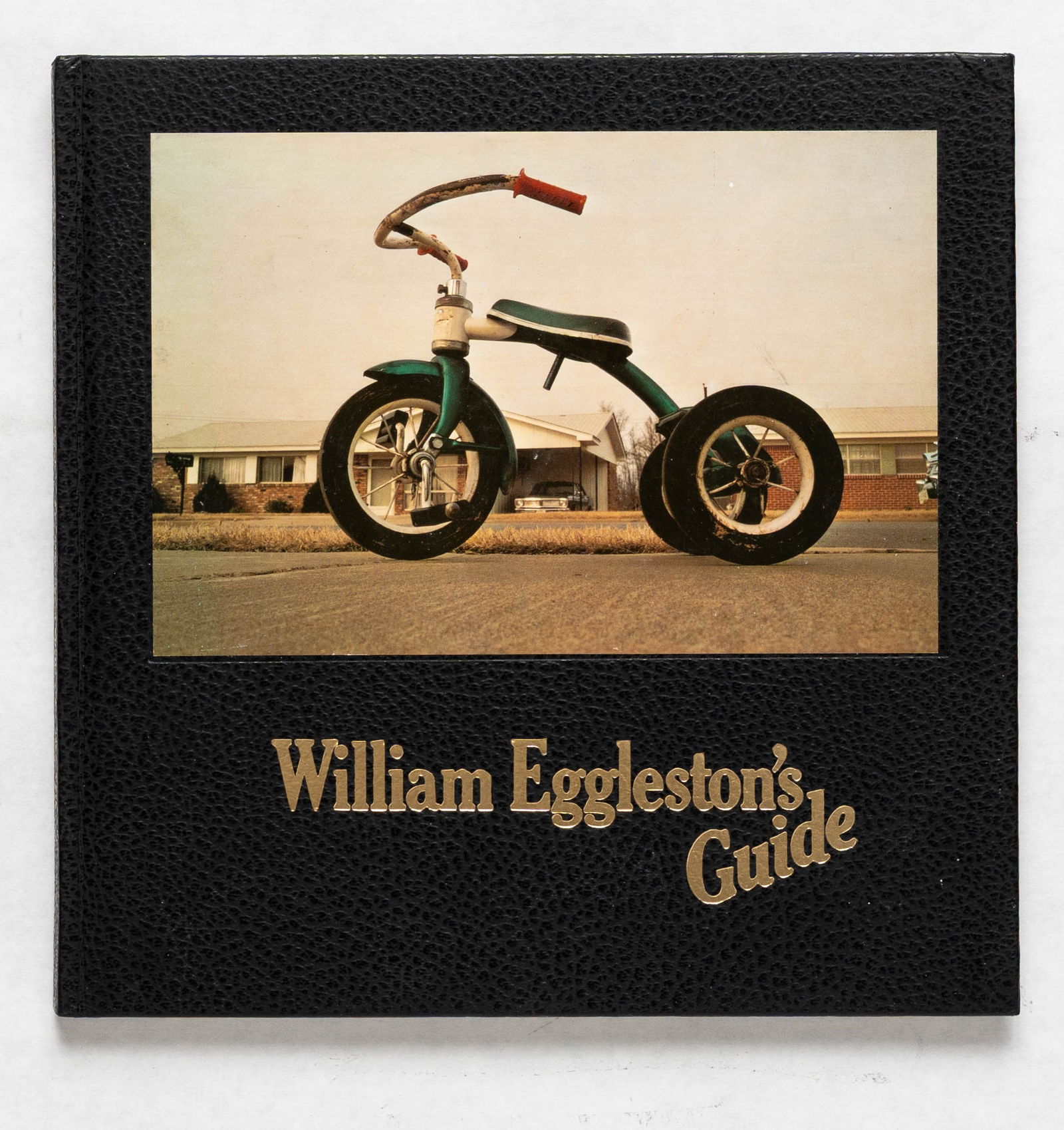William Eggleston's Guide [1976 1ST EDITION - FINE COPY] (1 of 1)