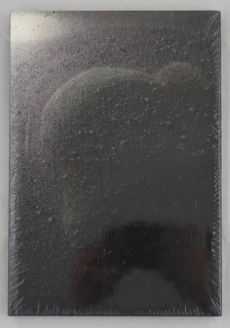 Keller, Dagmar; Wittwer, Martin; Passengers: Spector Books, Leipzig; and KW Institute for Contemporary Art, Berlin, 2014. Hardcover in pictorial dust jacket. 156 pages with numerous photographic images throughout. Text in English. BOOK CONDITION