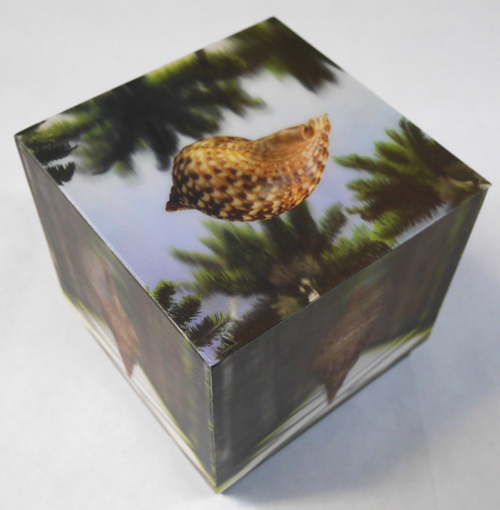 Campana, Fernando & Humberto; Visionaire 62 Rio [RARE STEREOSCOPE IN LENTICULAR BOX] (1 of 8)