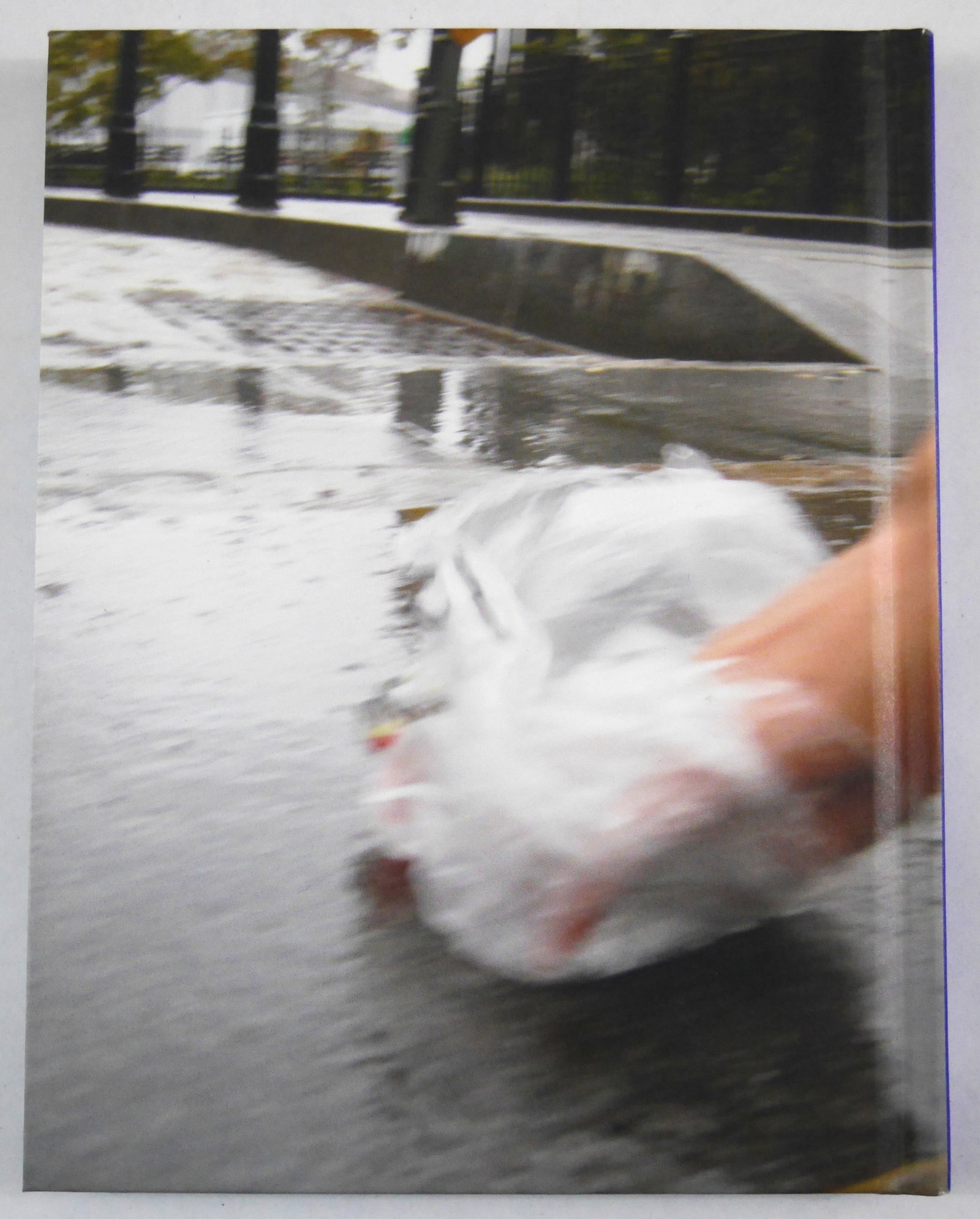 David Hammons [Rare 2011 L&M Gallery Exhibition Monograph] (1 of 7)