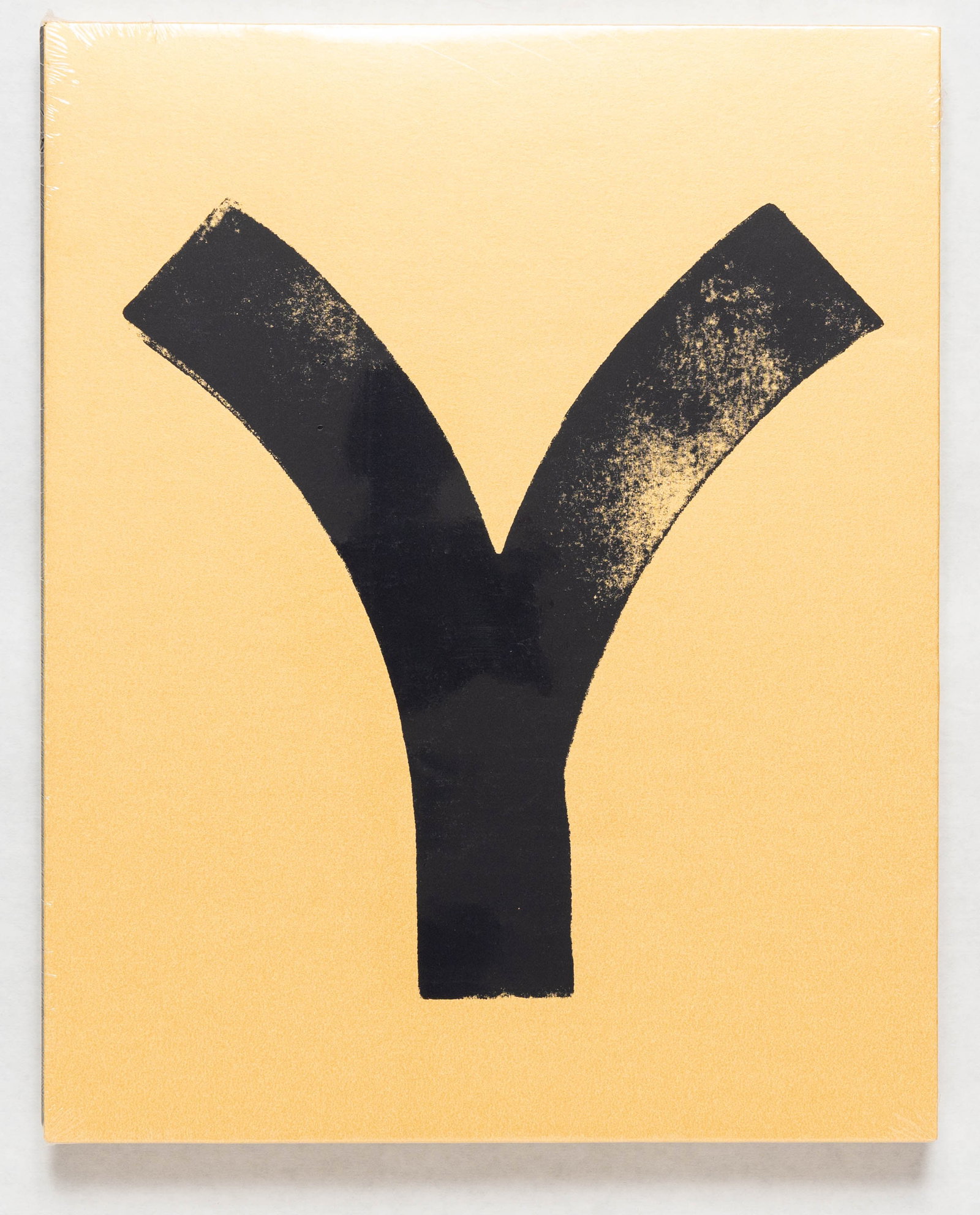 Anderson, Christopher; Approximate Joy [DELUXE SLIPCASED ARTISTS ED 1/30 WITH SIGNED PRINT] (1 of 3)