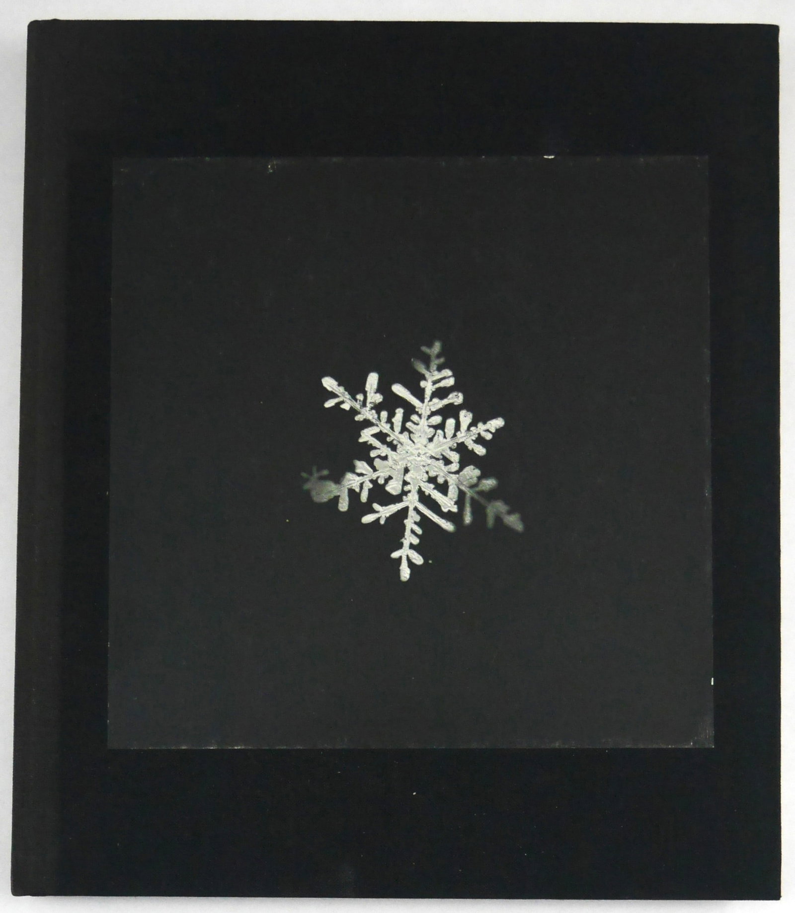 Faconti, Dana; Blind Spot Issue #32, A Tribute to Kim Caputo [Rare Hardcover Edition]: Blind Spot, 2006. Hardcover with tipped on image to front cover. First Edition, the rare hardcover issued in an edition of 100 with a signed 8,5 x 10.5 inch photograph by Jem Southam (the print is lac