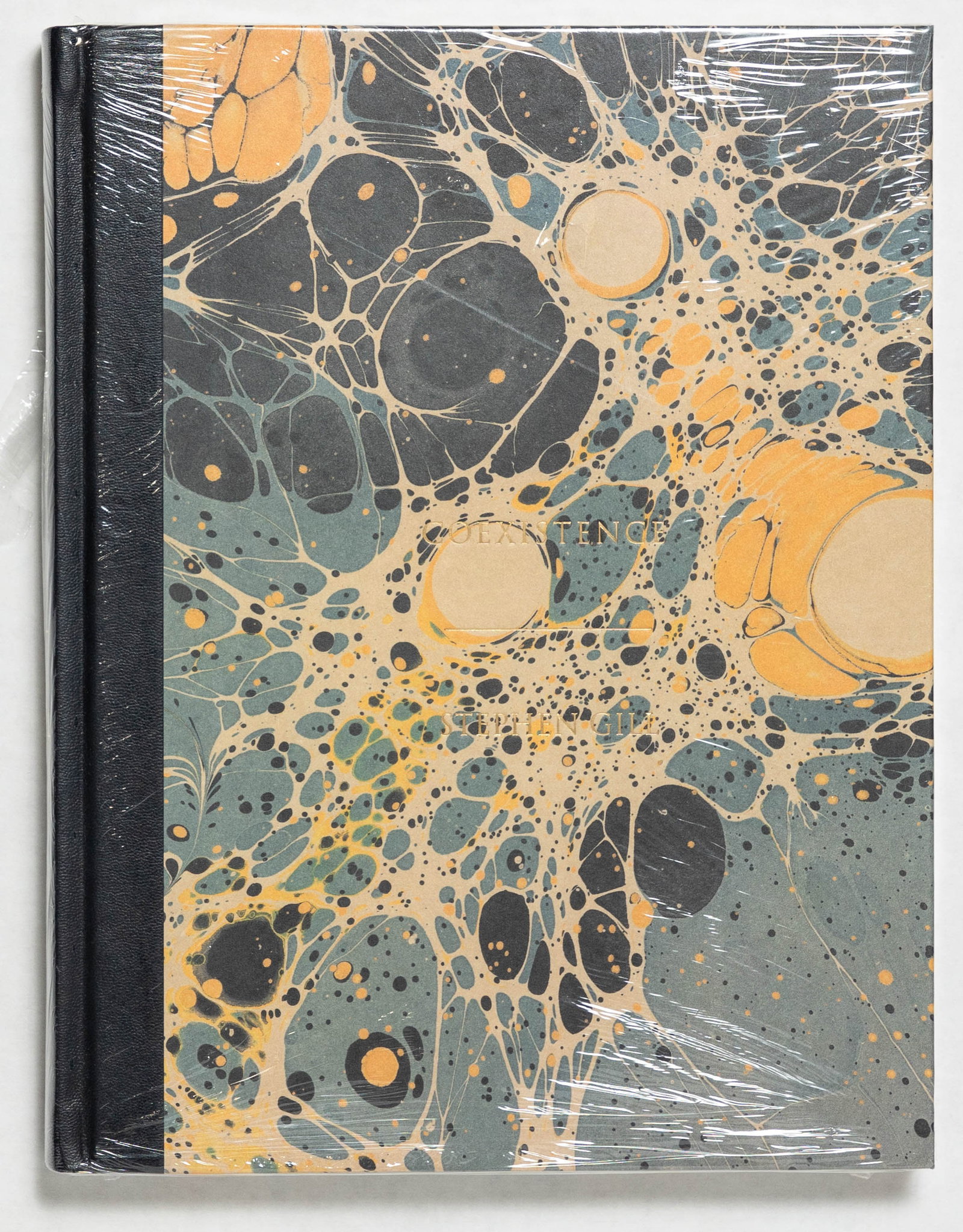 Gill, Stephen; Co-Existence/Coexistence: Centre National de l'Audiovisuel, Luxembourg, 2012. Hardcover in unique marbled paper-covered boards (marbling by Gill). First Edition, First Printing. 152 pages. Edition of 1500 copies. Quarter bound
