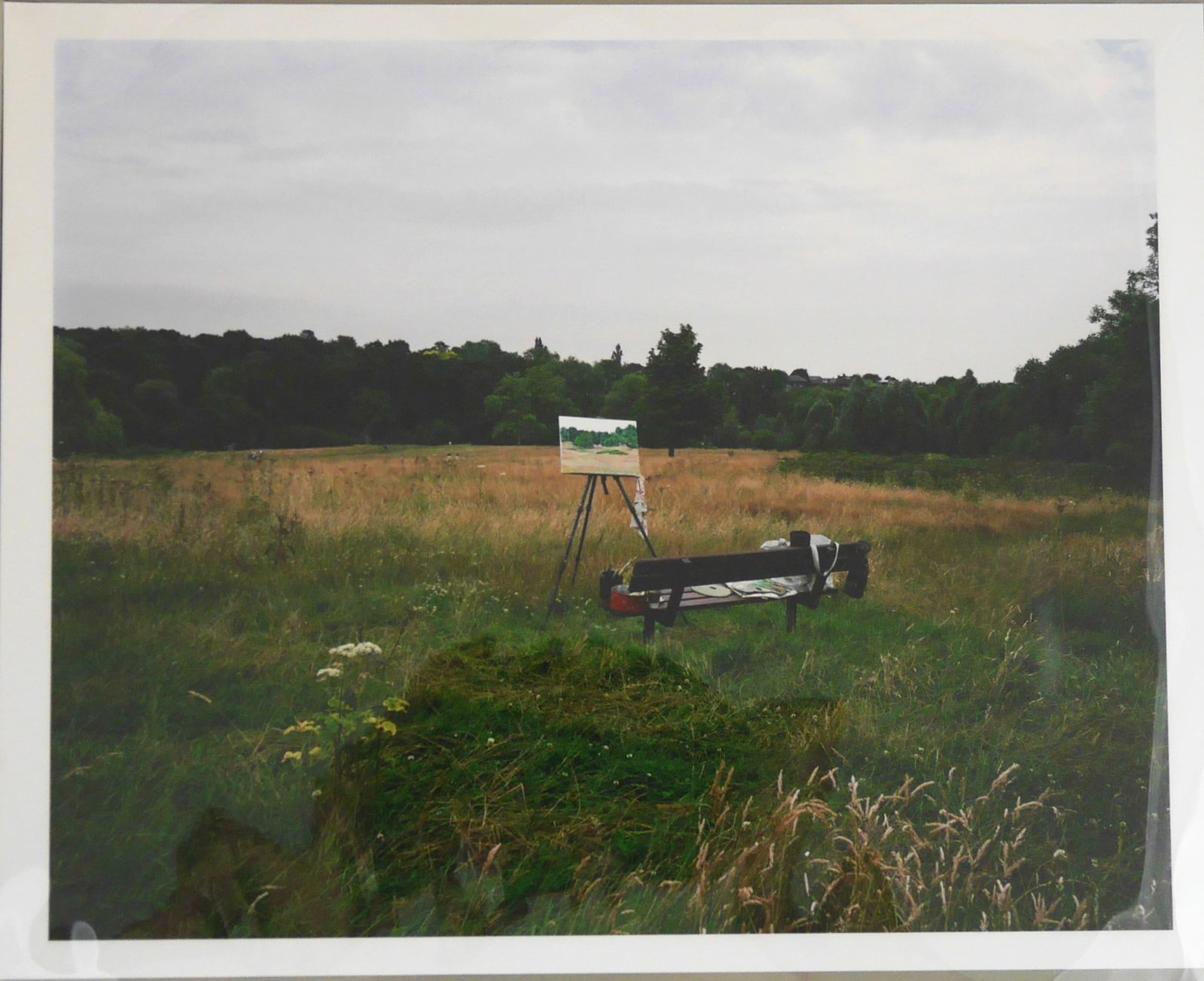 Sewell, Andy; The Heath [SIGNED LTD WITH PHOTOGRAPHIC C-PRINT - LIMITED EDITION #89/100 COPIES] (1 of 11)