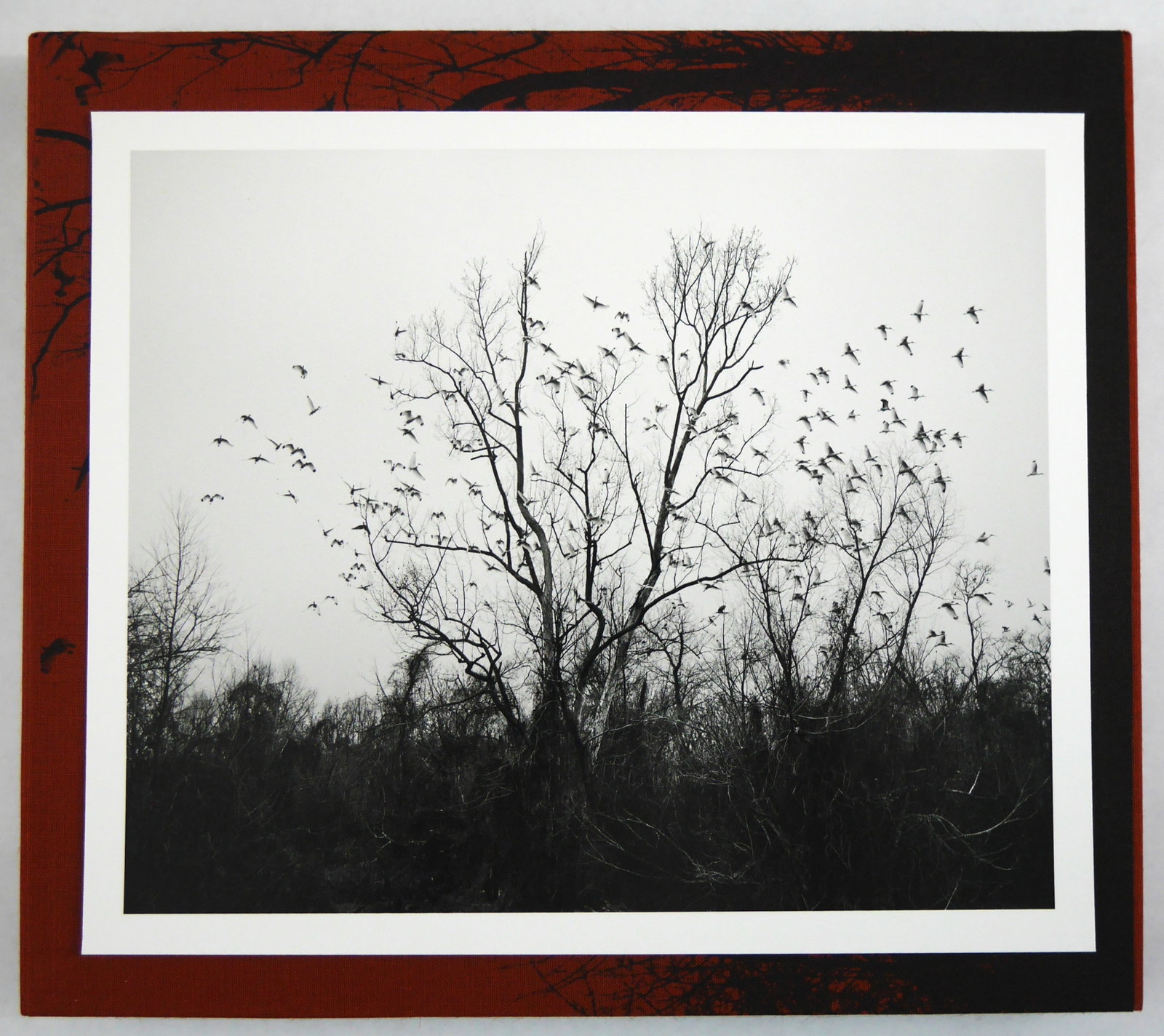 Winship, Vanessa; She Dances on Jackson [SIGNED LTD ED #/50 IN SLIPCASE WITH SIGNED PRINT - FINE] (1 of 15)