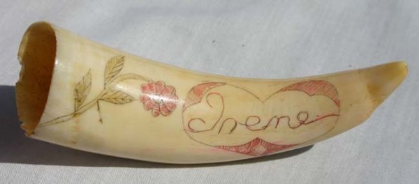 3 1/2" scrimshawed whales tooth depicting full ri