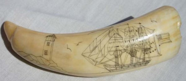 3 1/2" scrimshawed whales tooth depicting full ri - 2