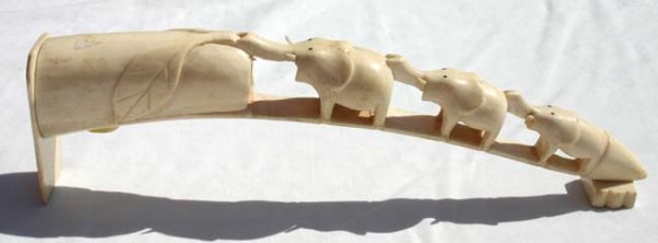 Tusk carved ivory elephant bridge - 11 1/2" long