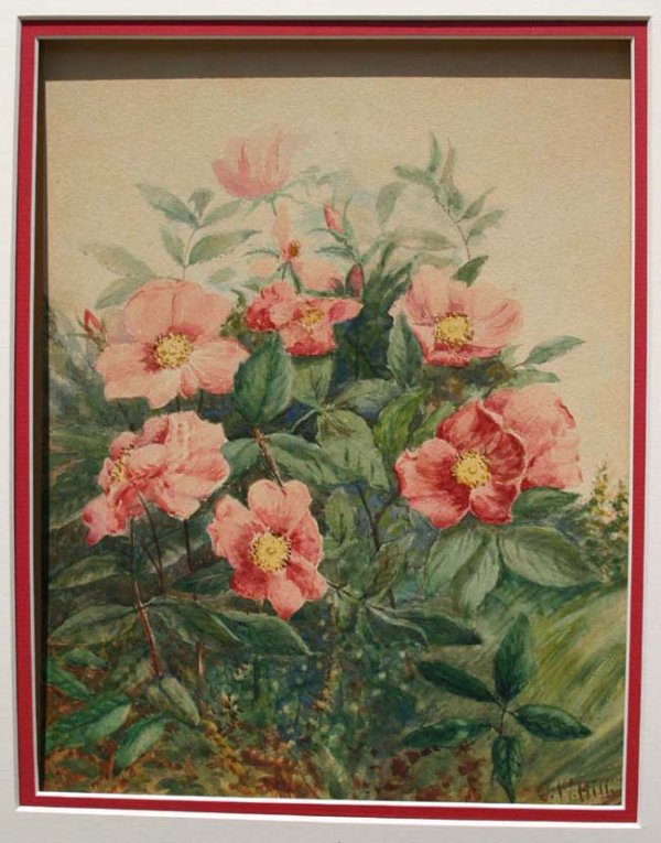 Important John William Hill 11 x 8 ½ w/c still life