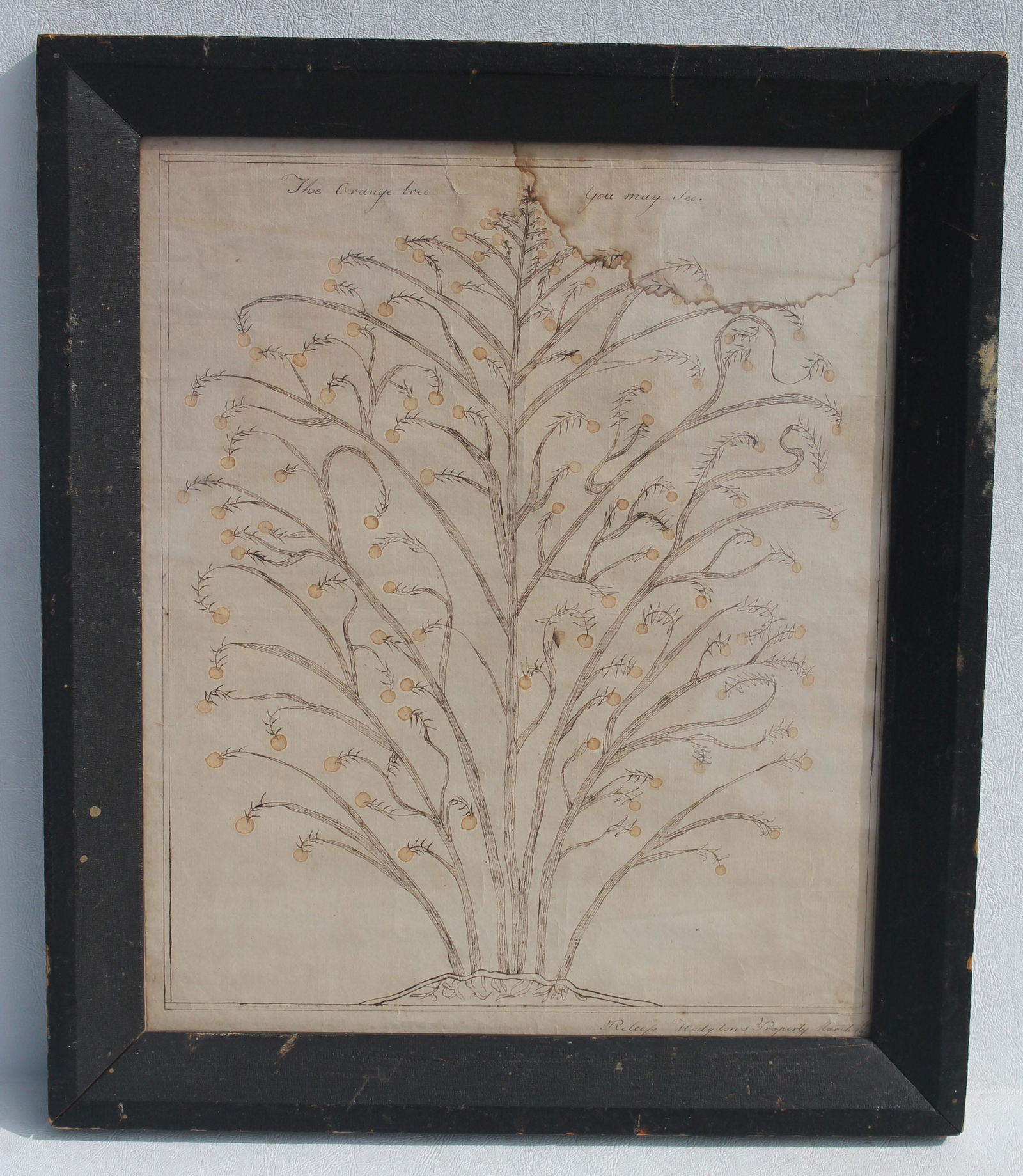 19thC pen & ink & w/c titled "The Orange Tree" sgnd &: 19thC pen & ink & w/c titled "The Orange Tree" sgnd & dated Relief Hodgdons March 19, 1809 - overall framed size 17"x14 1/2"